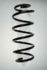 SPIDAN 86301 Coil Spring